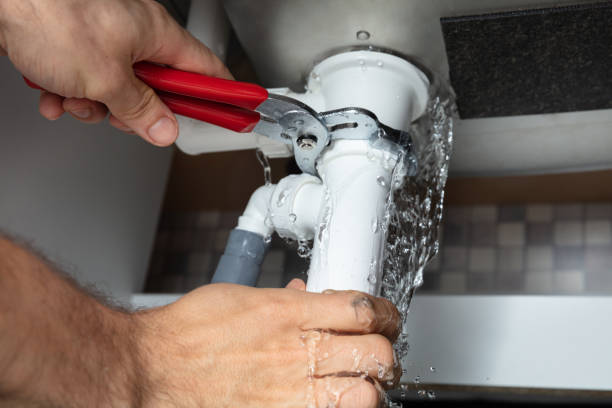 Best Flooded house restoration  in La Conner, WA