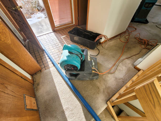 Best Carpet water damage restoration  in La Conner, WA