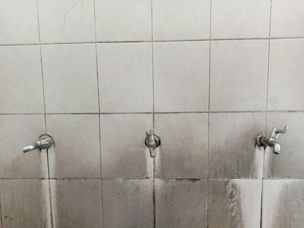 Best Mold removal after water damage  in La Conner, WA