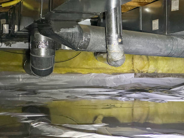 Best Water damage restoration near me  in La Conner, WA
