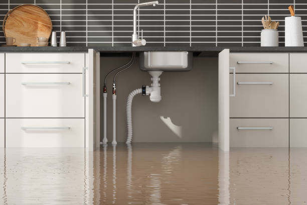 Best Residential water damage restoration  in La Conner, WA