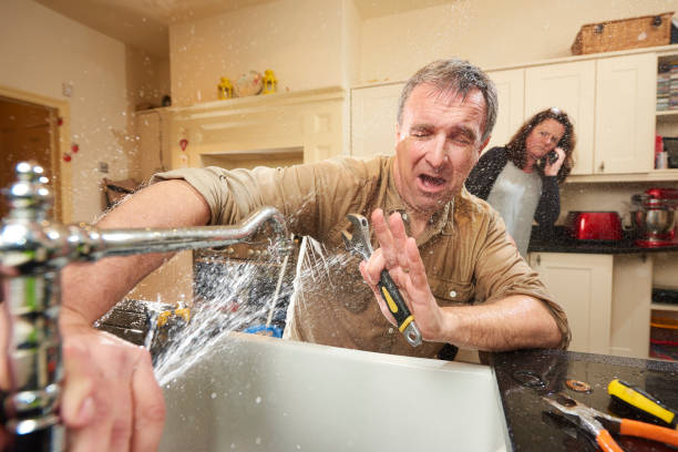 Best Flood damage cleanup  in La Conner, WA